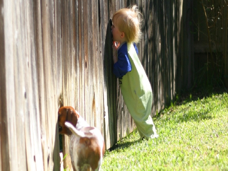 试管移植的后果,试管医院排名 上海